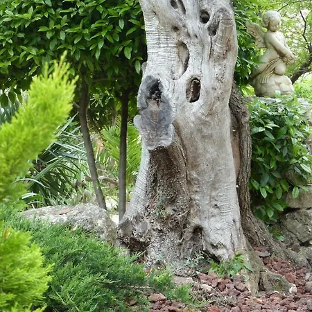 La Nevet's * Ollioules