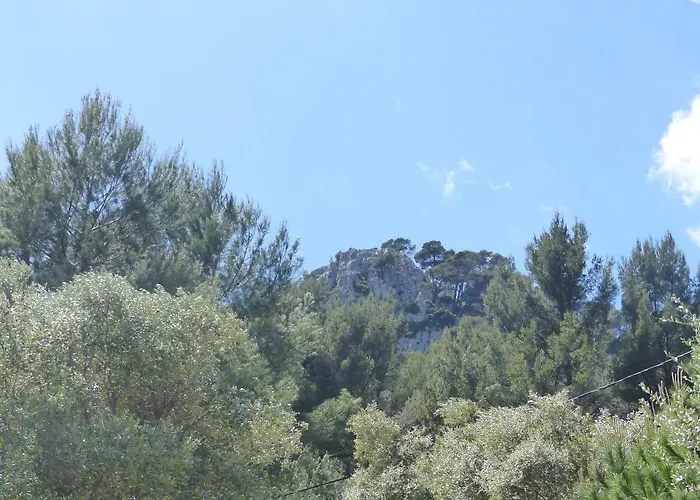 Appartement La Nevet's Ollioules